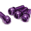 Reverse Schrauben Set Für Scheibenbremse M6 X 18mm - 4 Stück - Purple 1 Reverse Schrauben Set Für Scheibenbremse M6 X 18mm - 4 Stück - Purple -Fahrradzubehör Geschäft 01830 15KmQHqHF69f6J