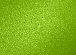 Deuter LIGHT DRYPACK 1 - Citrus -Fahrradzubehör Geschäft 3940021 8006 LightDrypack1 citrus D 01YzUvKiiKdNOGR