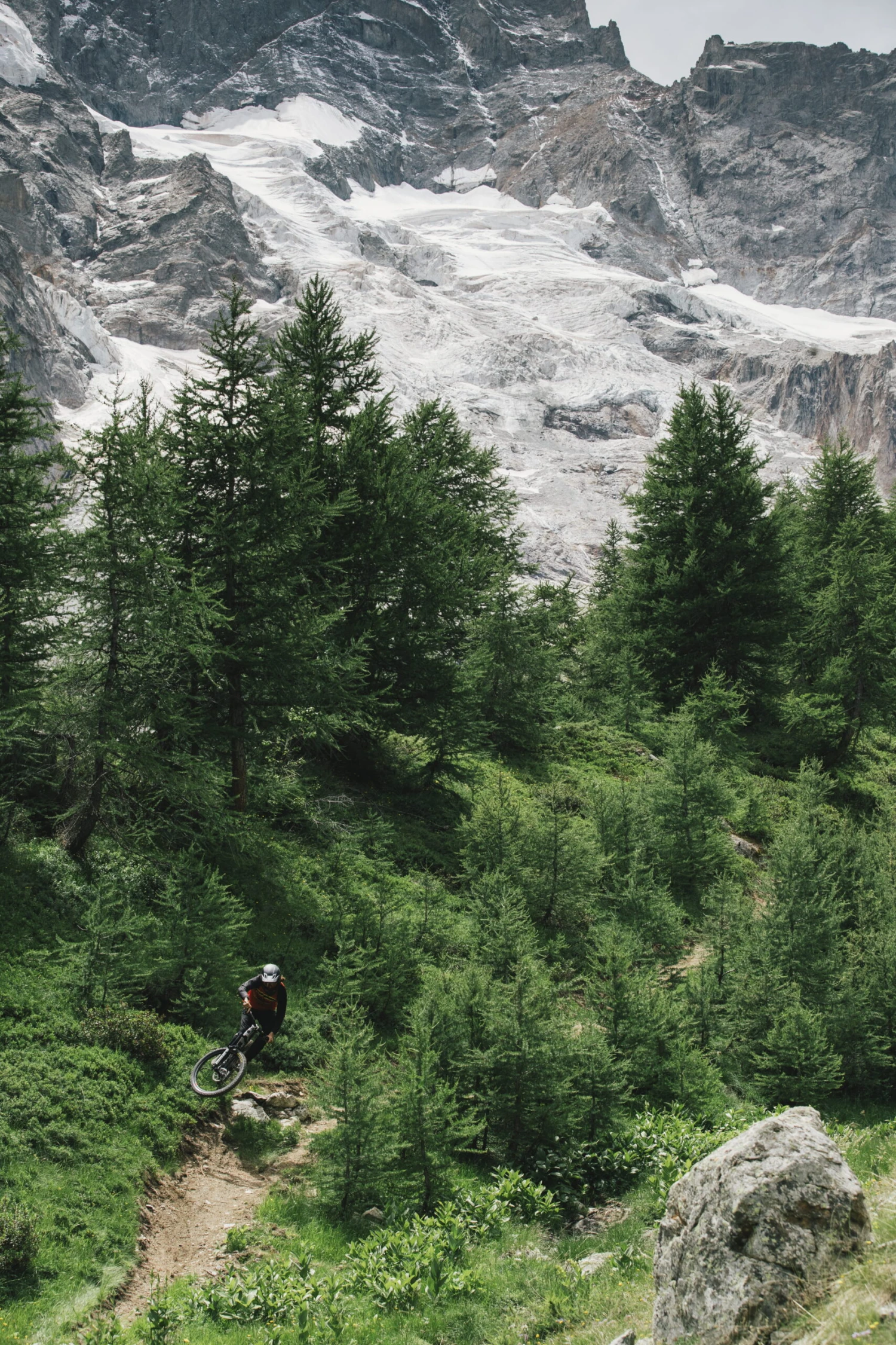 Santa Cruz Nomad 6 C MX S-Kit Air Gloss Gypsum 8 Santa Cruz Nomad 6 C MX S-Kit Air Gloss Gypsum – Bild 6