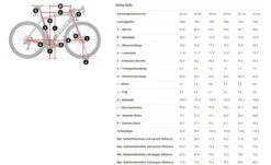 Trek Domane SL 6 ETap Gen 4 Crimson -Fahrradzubehör Geschäft Domane SL Gen 4 grossIxr8cQMzBWMJb