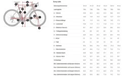 Trek Domane SL 6 ETap Gen 4 Crimson -Fahrradzubehör Geschäft Domane SL Gen 4 kleinAIGpJRyhyjOnt