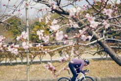 Cannondale SuperSix EVO Carbon Disc 105 Black Pearl -Fahrradzubehör Geschäft SuperSix EVO In The Wild 2